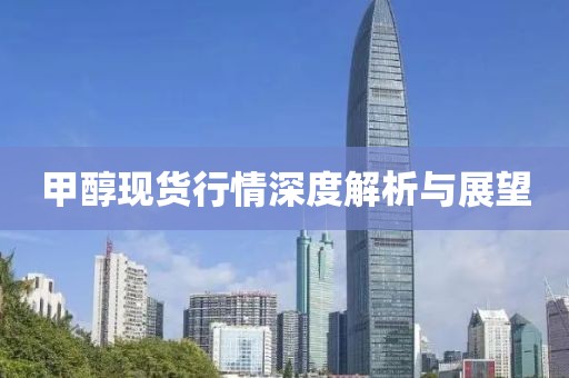 甲醇现货行情深度解析与展望