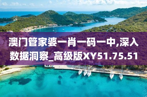 澳门管家婆一肖一码一中,深入数据洞察_高级版XY51.75.51