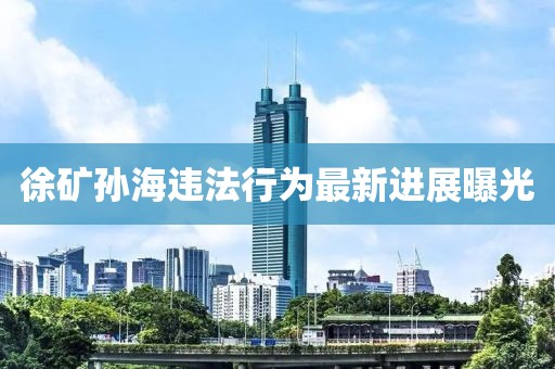 徐矿孙海违法行为最新进展曝光