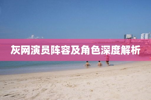 灰网演员阵容及角色深度解析