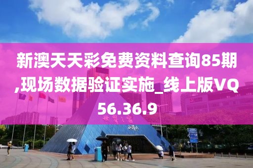 新澳天天彩免费资料查询85期,现场数据验证实施_线上版VQ56.36.9