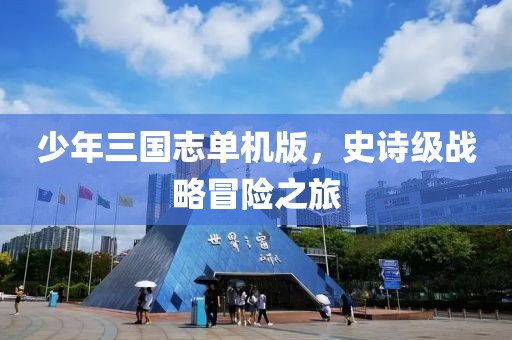 少年三国志单机版，史诗级战略冒险之旅