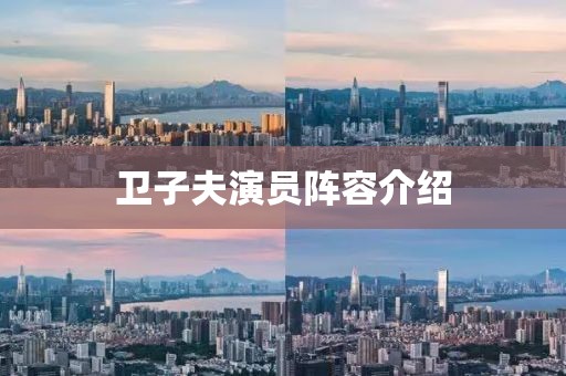 卫子夫演员阵容介绍