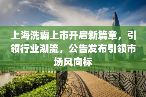 上海洗霸上市开启新篇章，引领行业潮流，公告发布引领市场风向标