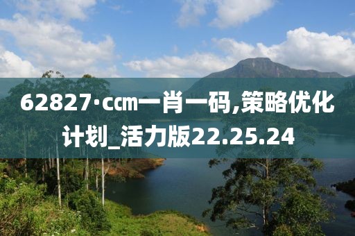 62827·c㎝一肖一码,策略优化计划_活力版22.25.24