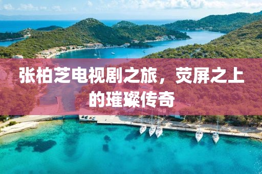张柏芝电视剧之旅，荧屏之上的璀璨传奇