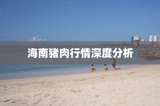 海南猪肉行情深度分析