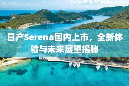日产Serena国内上市，全新体验与未来展望揭秘