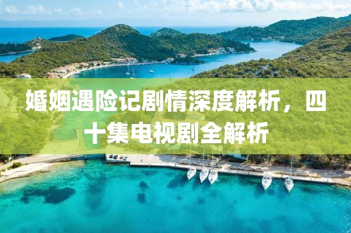婚姻遇险记剧情深度解析，四十集电视剧全解析