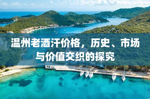 温州老酒汗价格，历史、市场与价值交织的探究