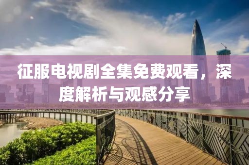 征服电视剧全集免费观看，深度解析与观感分享