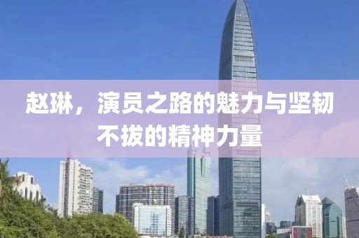 赵琳，演员之路的魅力与坚韧不拔的精神力量