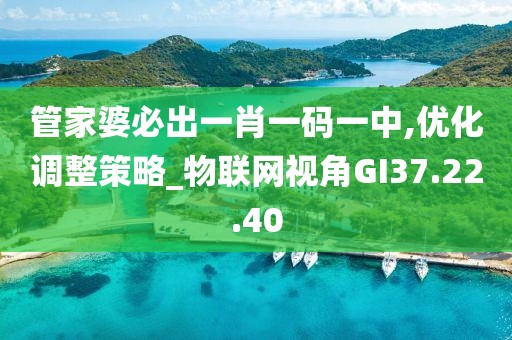 管家婆必出一肖一码一中,优化调整策略_物联网视角GI37.22.40