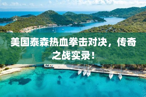 美国泰森热血拳击对决，传奇之战实录！