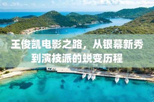 王俊凯电影之路，从银幕新秀到演技派的蜕变历程