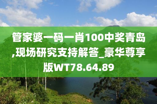 管家婆一码一肖100中奖青岛,现场研究支持解答_豪华尊享版WT78.64.89