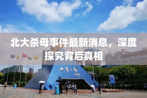 北大杀母事件最新消息，深度探究背后真相