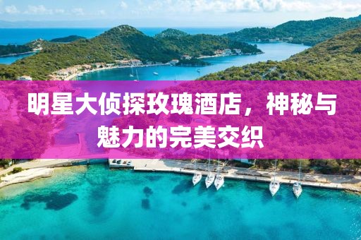 明星大侦探玫瑰酒店，神秘与魅力的完美交织