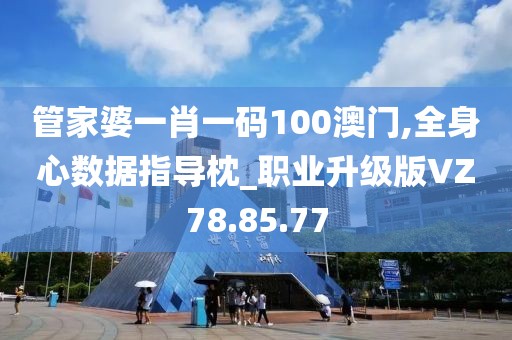 管家婆一肖一码100澳门,全身心数据指导枕_职业升级版VZ78.85.77