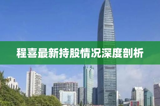 程喜最新持股情况深度剖析