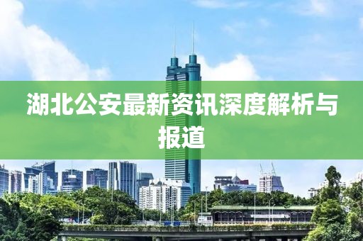 湖北公安最新资讯深度解析与报道