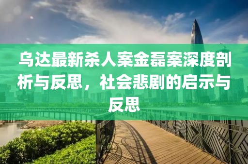 乌达最新杀人案金磊案深度剖析与反思，社会悲剧的启示与反思