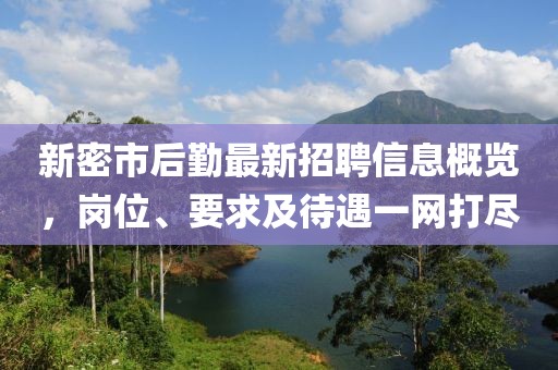 新密市后勤最新招聘信息概览，岗位、要求及待遇一网打尽