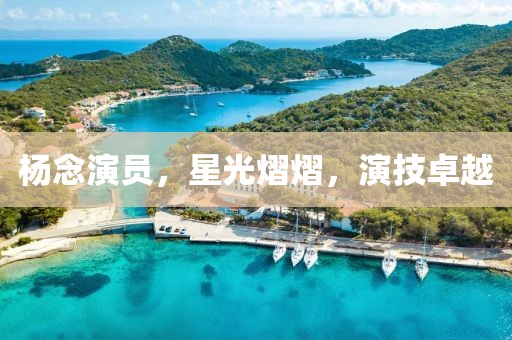 杨念演员，星光熠熠，演技卓越
