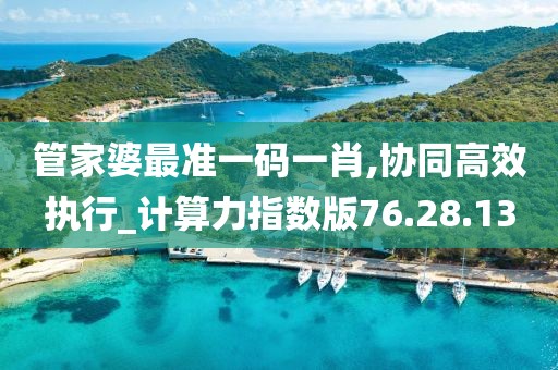 管家婆最准一码一肖,协同高效执行_计算力指数版76.28.13