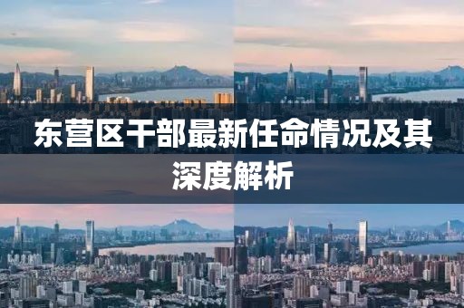 东营区干部最新任命情况及其深度解析