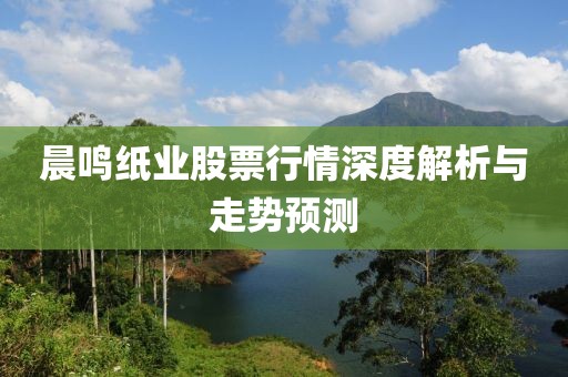 晨鸣纸业股票行情深度解析与走势预测