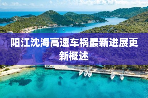 阳江沈海高速车祸最新进展更新概述