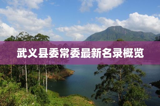 武义县委常委最新名录概览