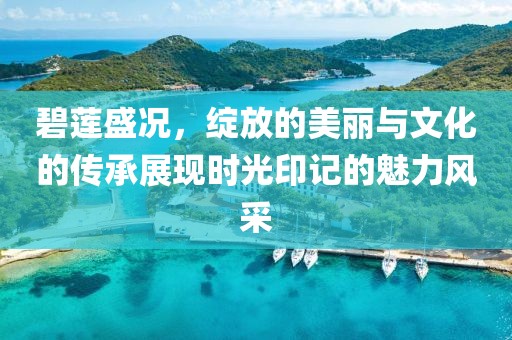 碧莲盛况，绽放的美丽与文化的传承展现时光印记的魅力风采