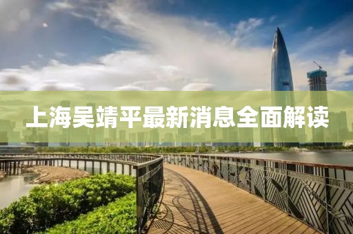 上海吴靖平最新消息全面解读