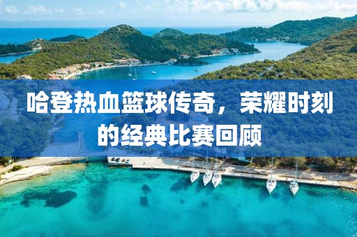哈登热血篮球传奇，荣耀时刻的经典比赛回顾