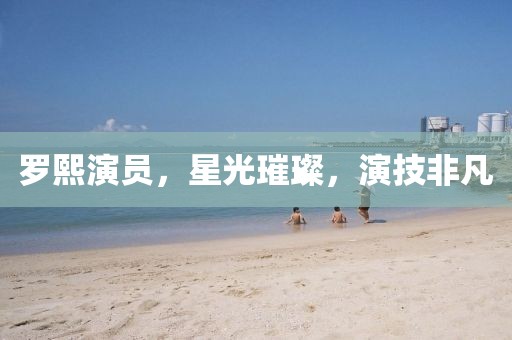 罗熙演员，星光璀璨，演技非凡