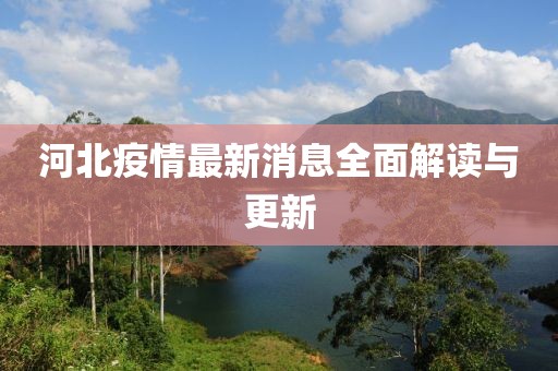 河北疫情最新消息全面解读与更新