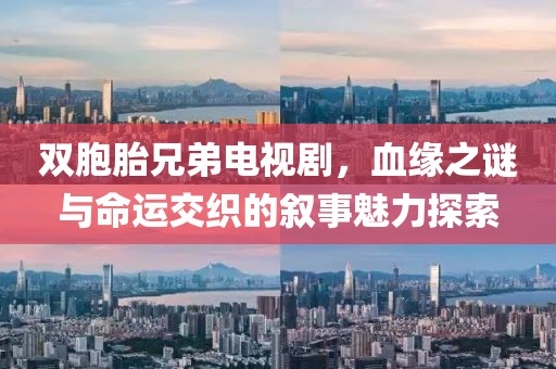 双胞胎兄弟电视剧，血缘之谜与命运交织的叙事魅力探索