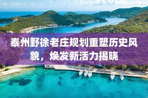 泰州野徐老庄规划重塑历史风貌，焕发新活力揭晓
