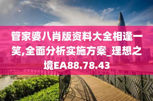 管家婆八肖版资料大全相逢一笑,全面分析实施方案_理想之境EA88.78.43