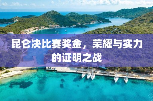 昆仑决比赛奖金，荣耀与实力的证明之战