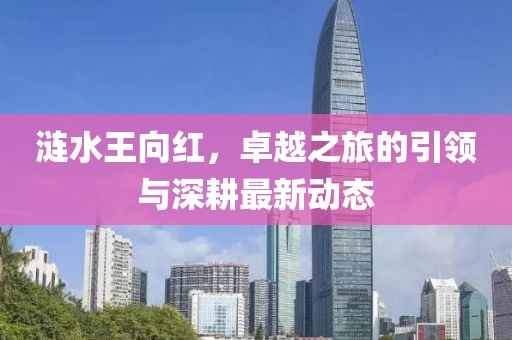 涟水王向红，卓越之旅的引领与深耕最新动态