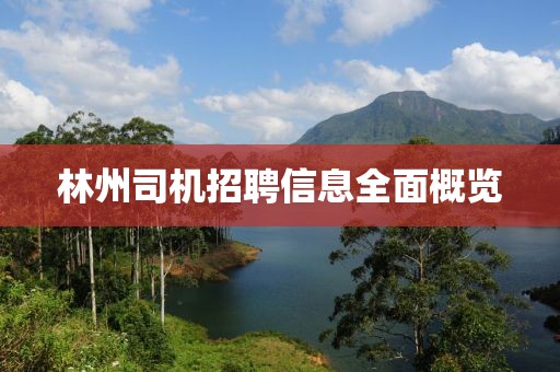 林州司机招聘信息全面概览