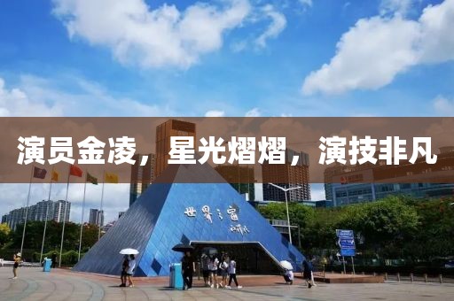演员金凌，星光熠熠，演技非凡