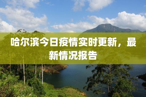 哈尔滨今日疫情实时更新，最新情况报告