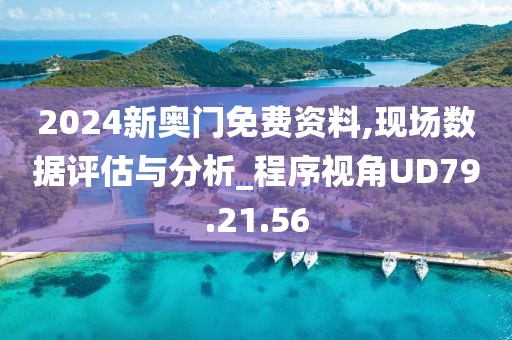 2024新奥门免费资料,现场数据评估与分析_程序视角UD79.21.56