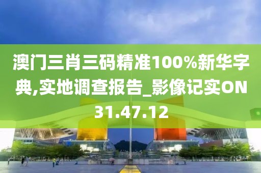 澳门三肖三码精准100%新华字典,实地调查报告_影像记实ON31.47.12