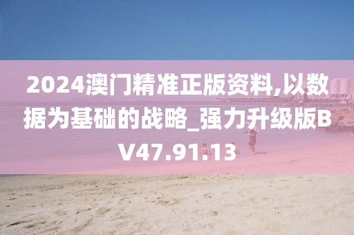2024澳门精准正版资料,以数据为基础的战略_强力升级版BV47.91.13