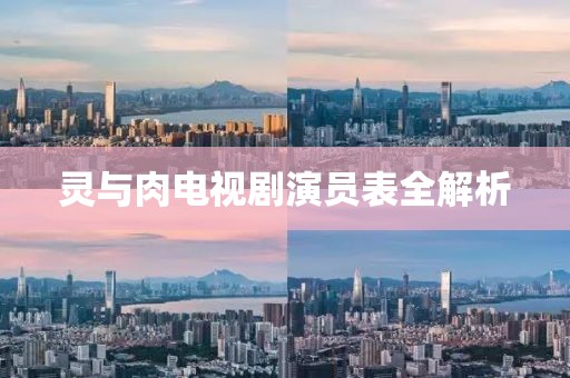 灵与肉电视剧演员表全解析